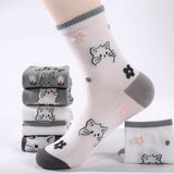 Pack de 5 Pares de Meias com Estampado de Gato