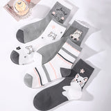 Pack de 5 Pares de Meias com Estampado de Gato