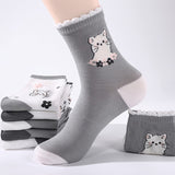 Pack de 5 Pares de Meias com Estampado de Gato