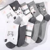 Pack de 5 Pares de Meias com Estampado de Gato