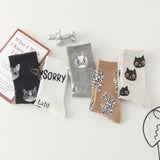 Chaussettes De Chat De Dessin Animé